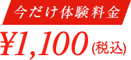 今だけ体験価格